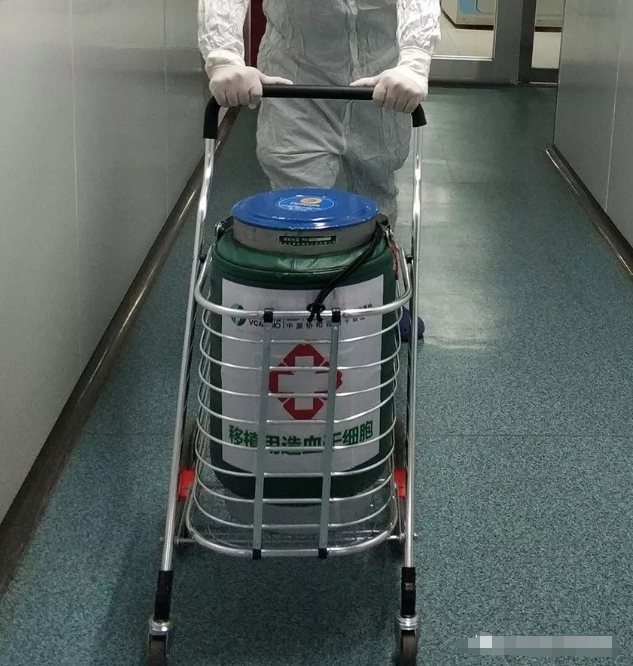 細(xì)胞運輸